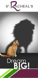dream big